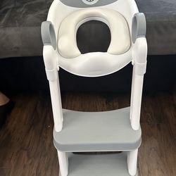 potty training seat 