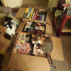 Dvd Vhs Collection. 100s