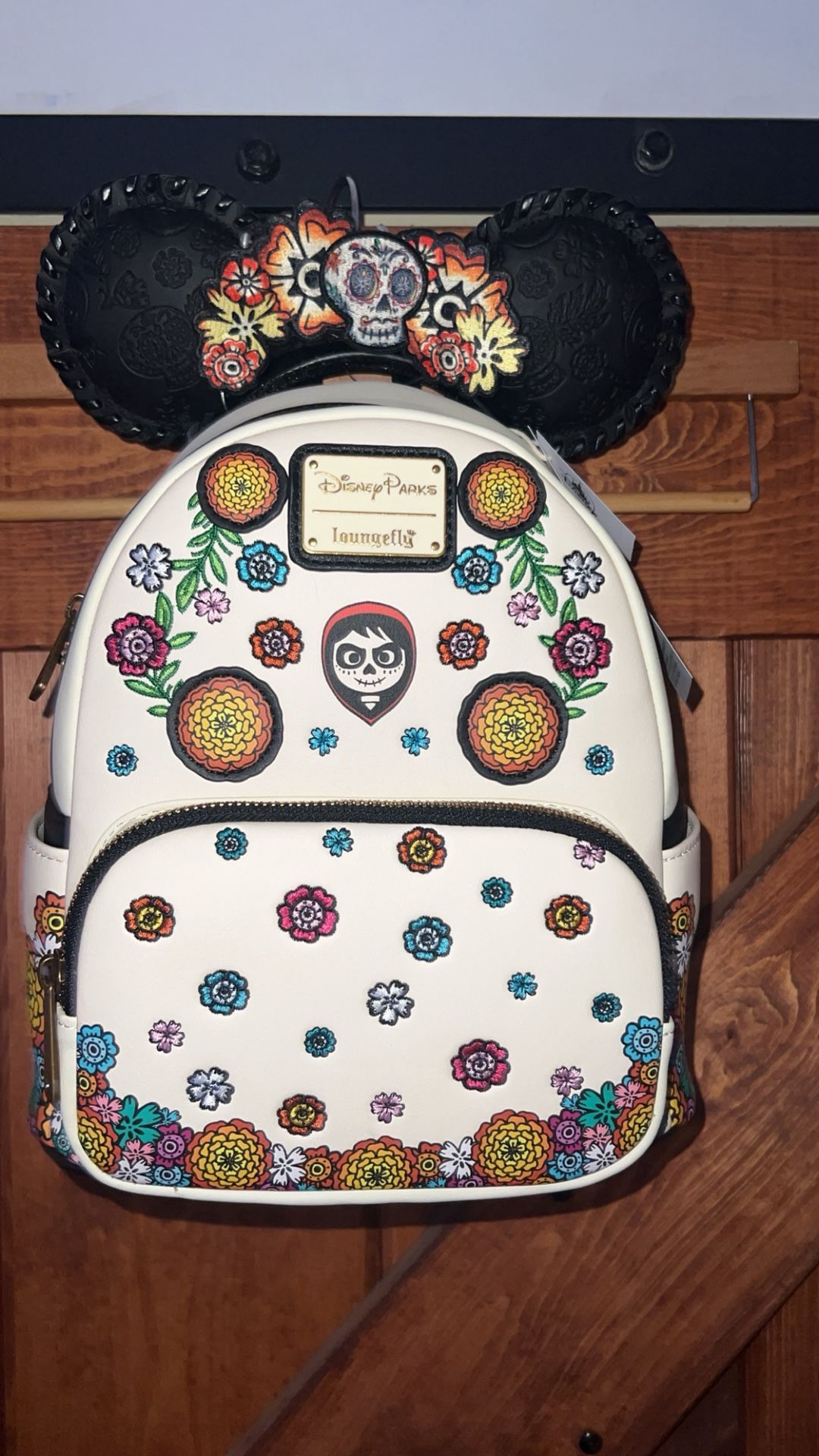 Coco back pack and ears