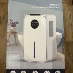 Dehumidifier for Bedroom 