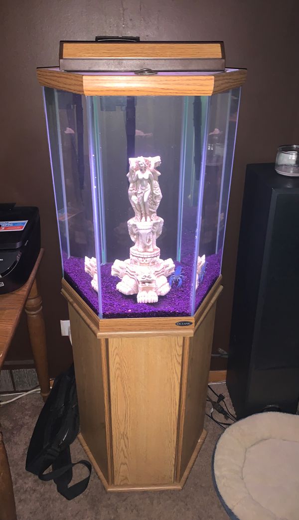 36 Gal Oceanic Hexagon Fish Tank / aquarium for Sale in