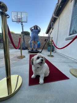 360 Photo Booth Inland Empire - Graduation Time