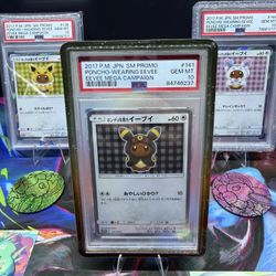 Full Poncho Set Eevee