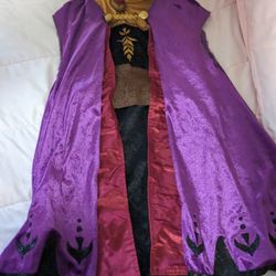 Elsa Costume 