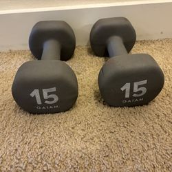 15lb Dumbbell Weights (pair) 