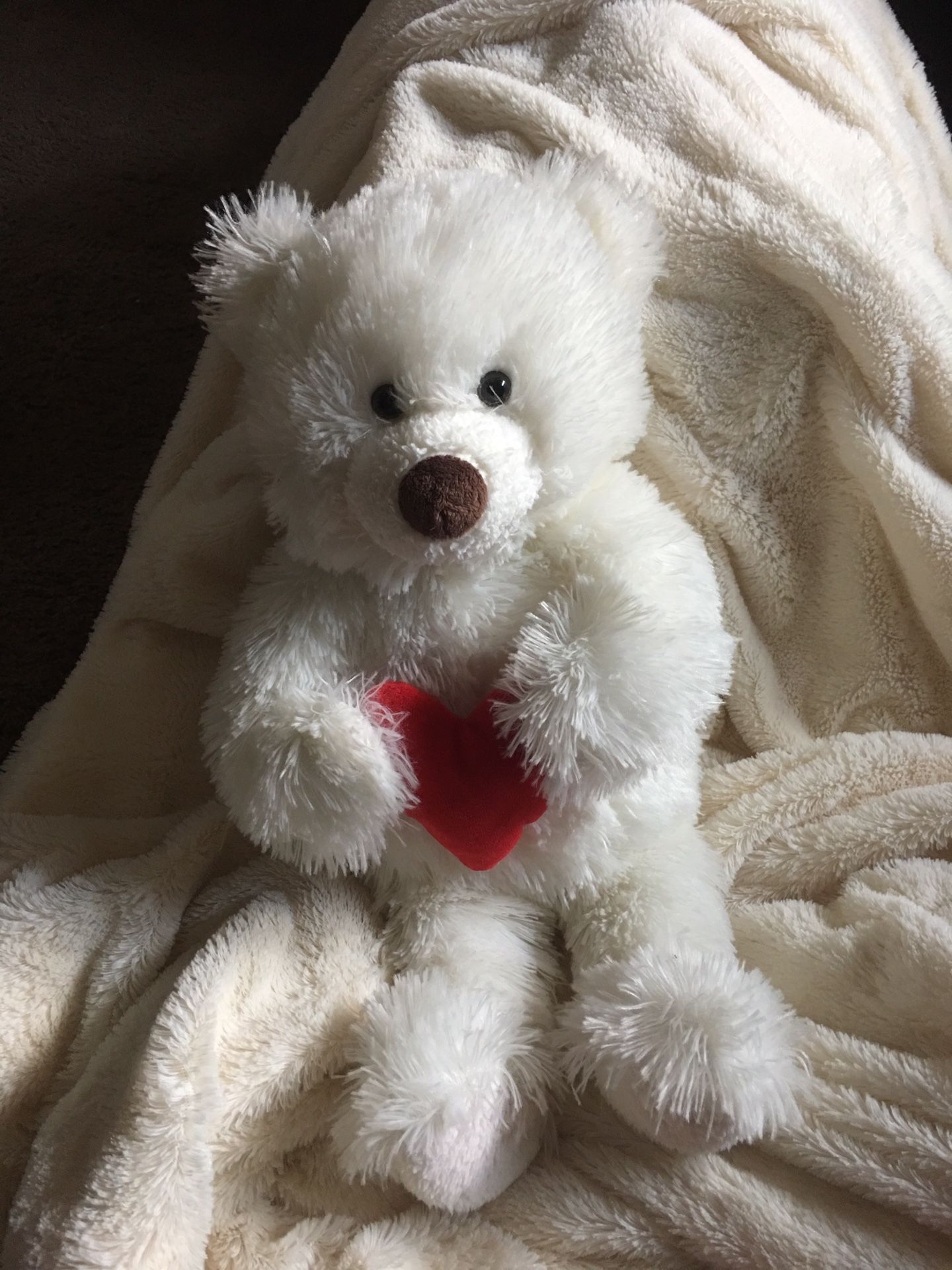16 inch white teddy bear holding a heart stuffed animal.