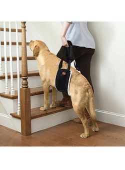 Portable Dog Sling for Back Legs. Size Large