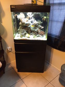 35 gallon salt water fish tank