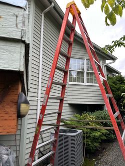 Werner 12’ Professional step ladder