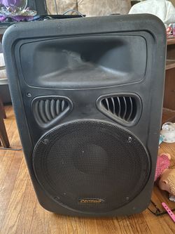 2 Speakers Patron Pro Audio
