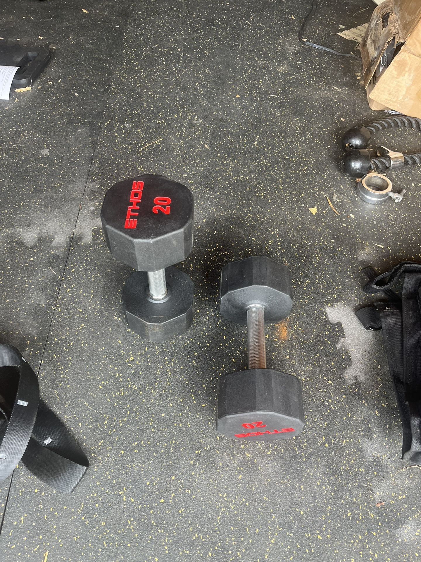 Ethos Dumbbell Weights