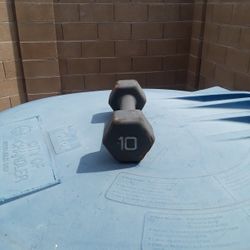10lb Dumbbell