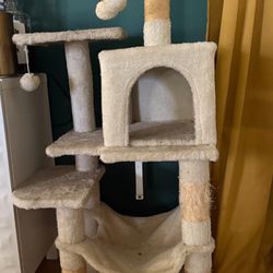 cat house