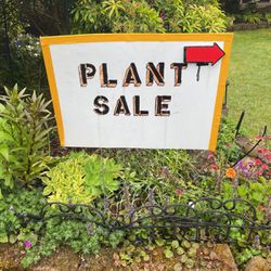 Plant Sale Today At Silver Firs Neighborhood 