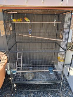 XL Bird cage