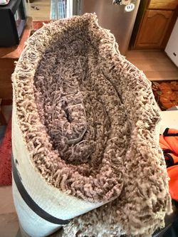 Free roll of carpet