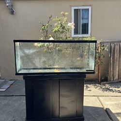 Fish Tank And Stand 4ft