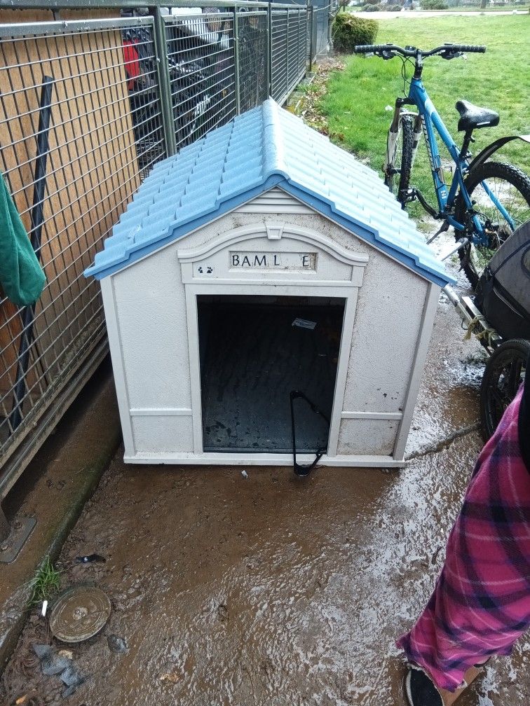 Big Dog House