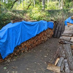 Dry Doug Fir Firewood Cords 175$