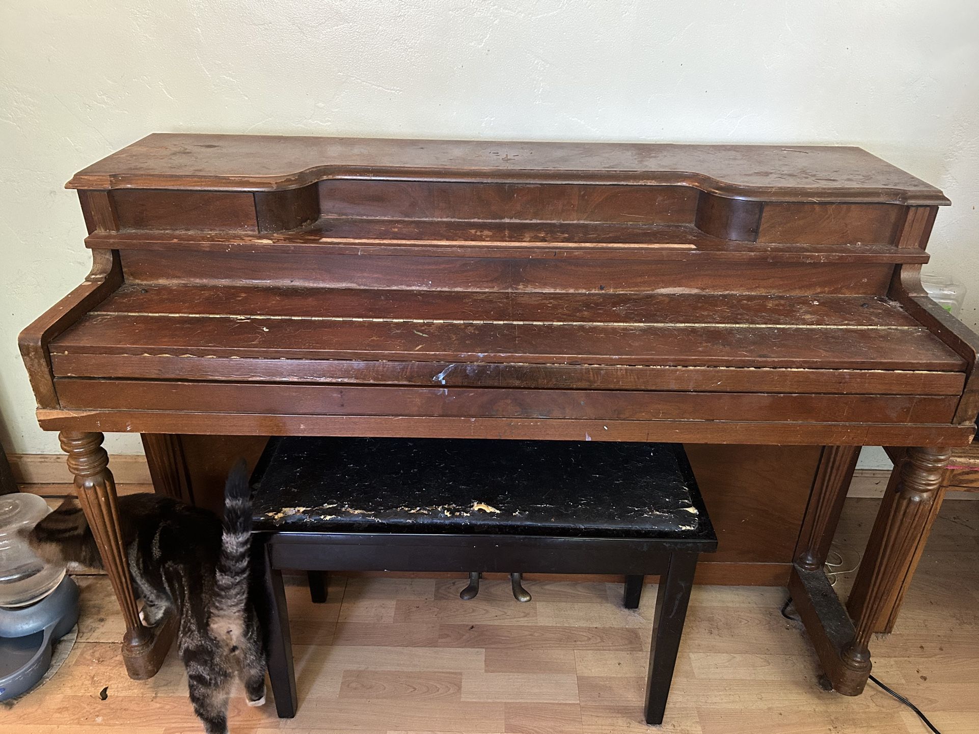 FREE Piano