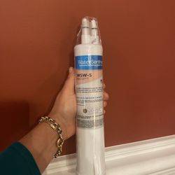 Water Sentinel WSW-5 Whirlpool  Water Filter 