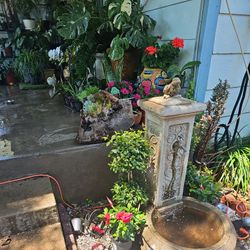 Plant Sale