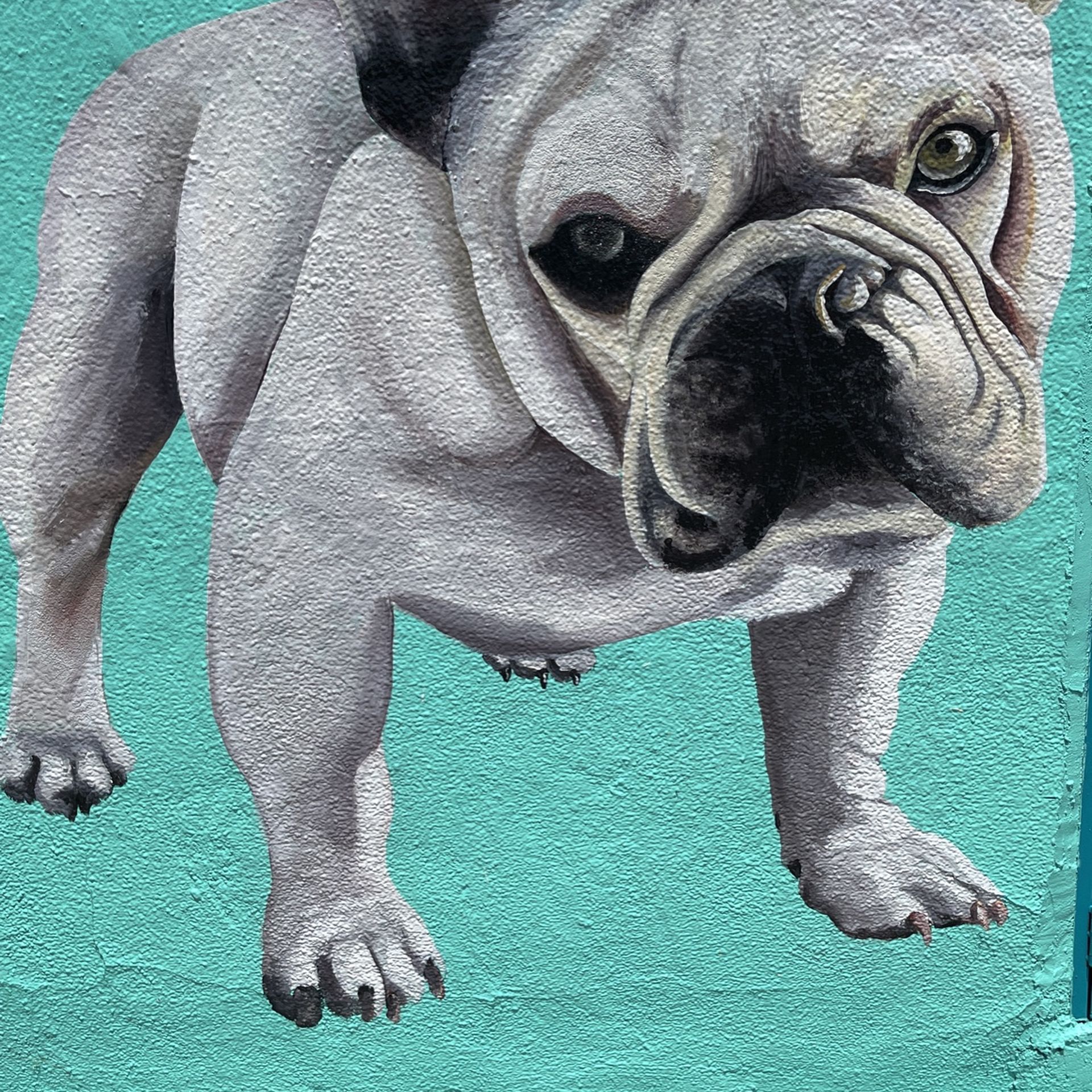 El Granero Los Dos Gallos / All your pet needs