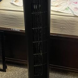 Multi setting fan