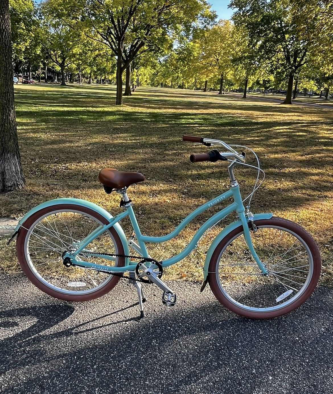 Bike (Priority Beach Cruiser)