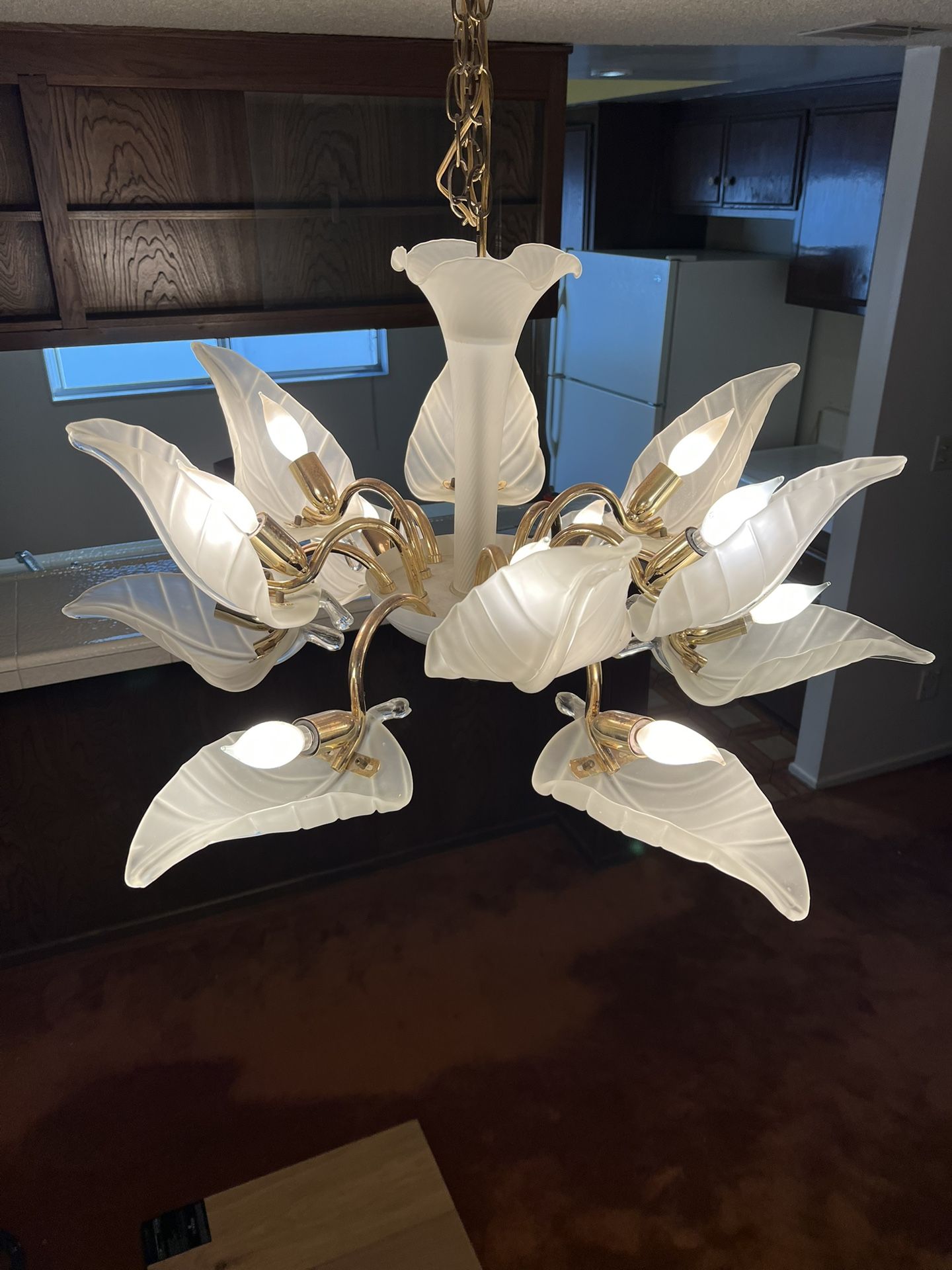 Vintage 1970’s Murano Chandelier