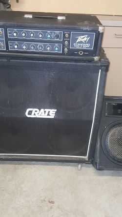 Guitar amp and monitor