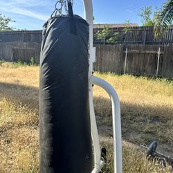 Punching Bag With Stand . One O Ring Ripped 