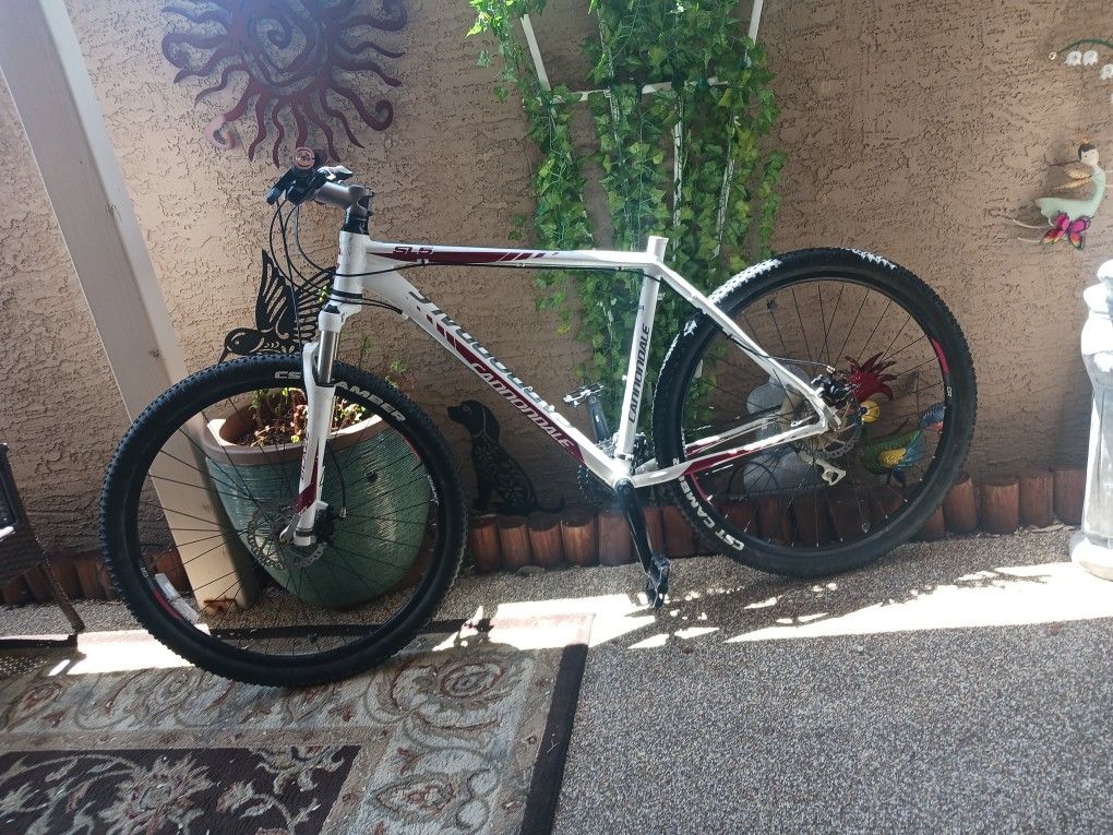 SL5 29-in Cannondale With Disc Brakes Front Socks