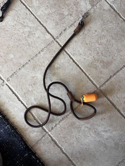 Dog Leashes, And Small Dog Carrier And Harness