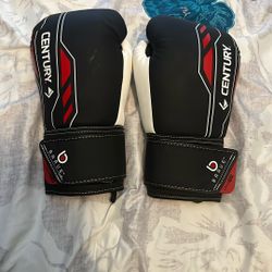 Boxing Gloves 12 OZ