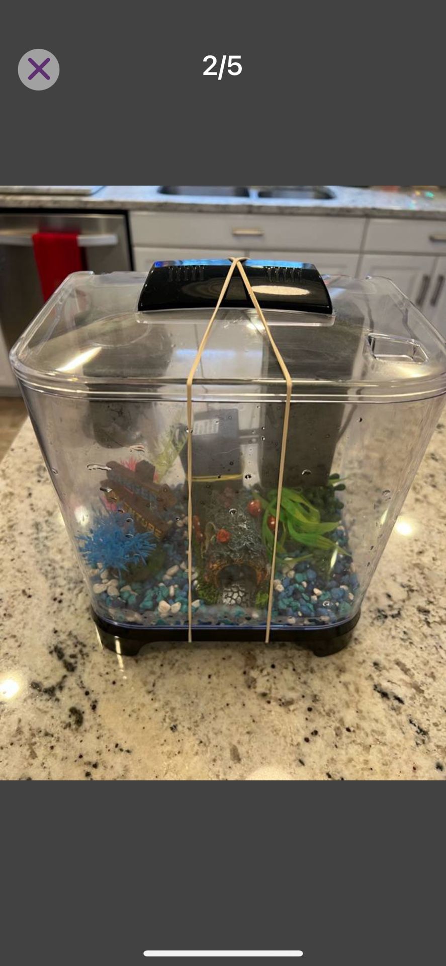 FISH TANK BETTA TANK WITH LIGHT HEATER LID FILTER ROCKS LIKE NEW