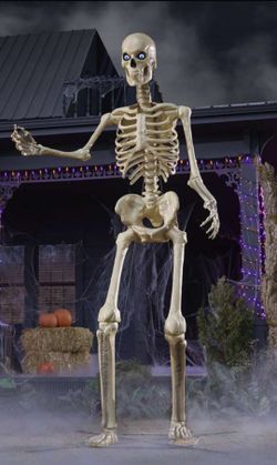 12 ft Giant Skeleton w/LCD Eyes