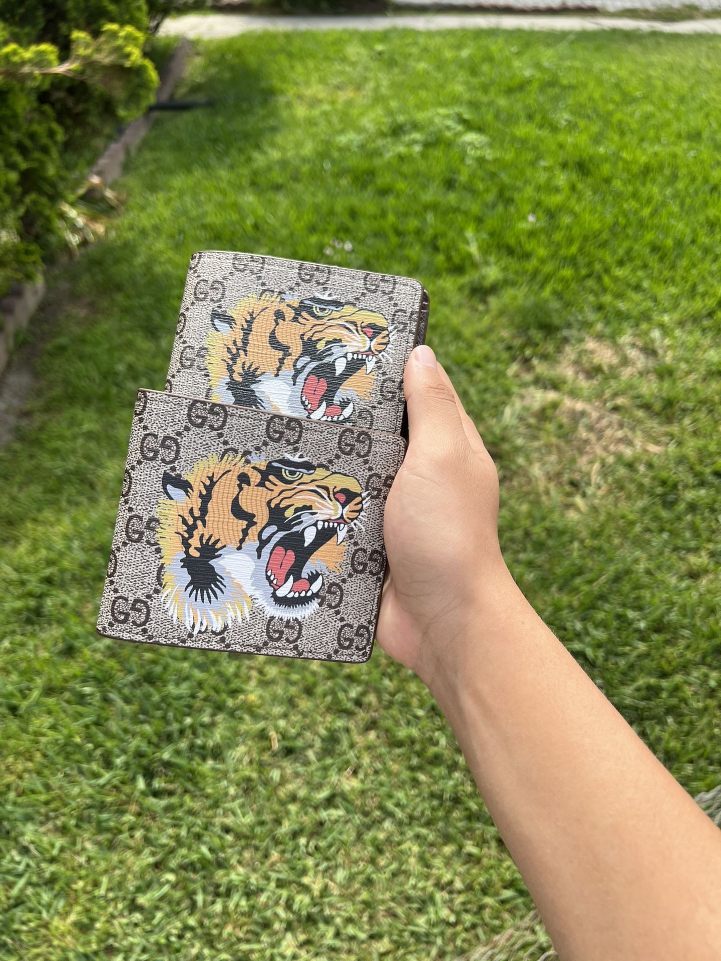 Gucci Wallet