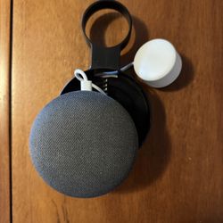 Google Home Mini (Gen 1)