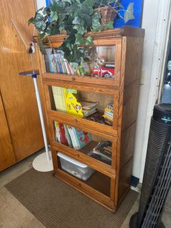 Beautiful lawyer's bookcase)