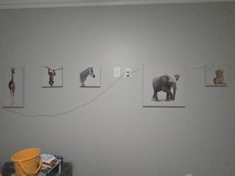 Animal wall decor