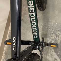 Cannondale 2021 Cujo 3 in Perfect Condition Dropper Post