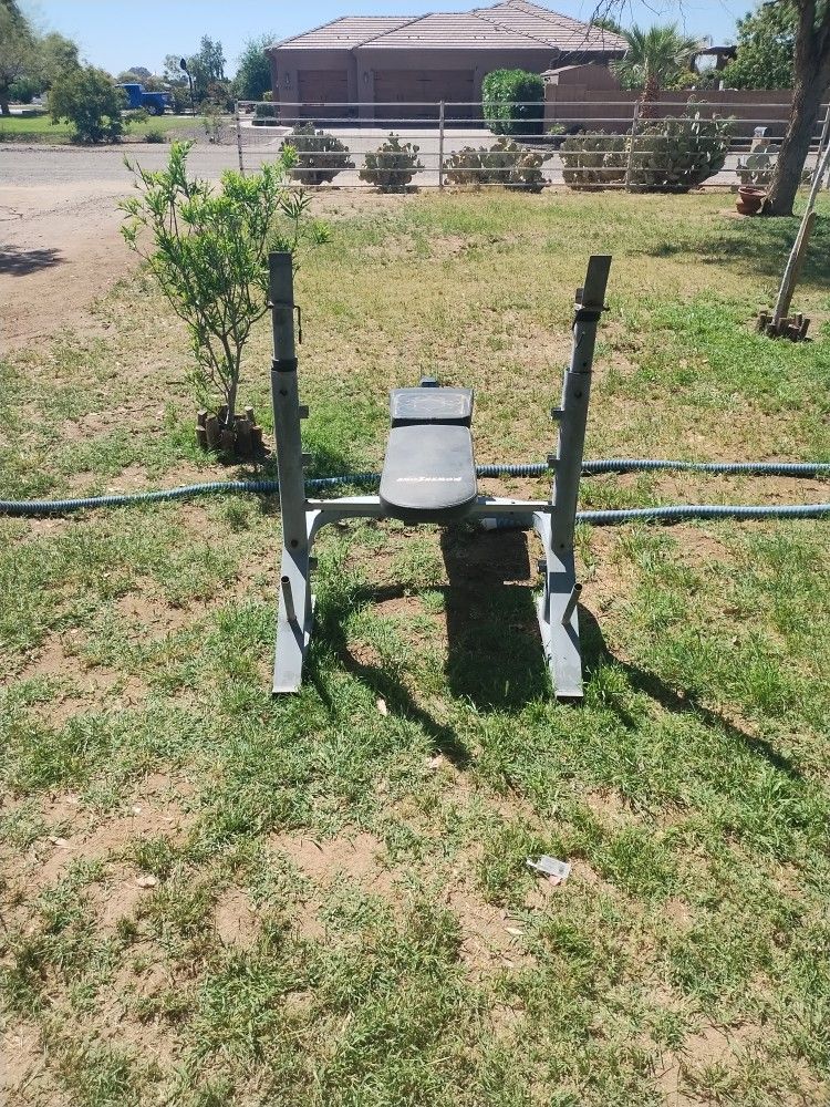 Weight Bench 