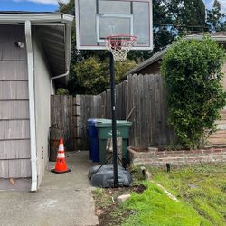 Basketball Hoop