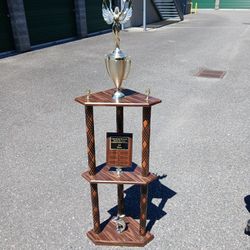 Nice Trophy Shelf