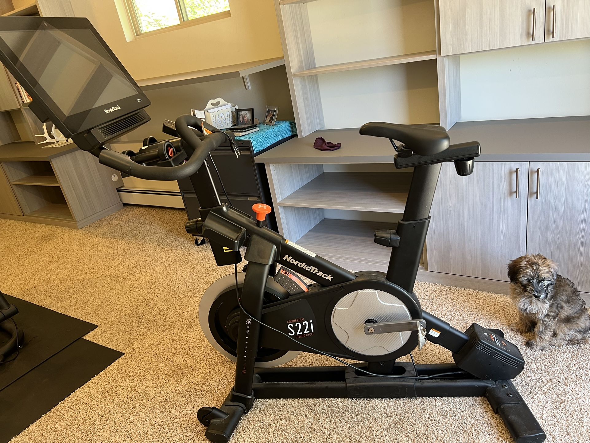 Nordictrack S22i