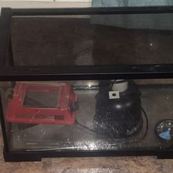 Bearded Dragon Tank 