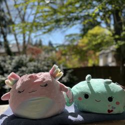 Squishmallow Bundle 