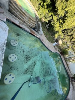 Vacuum Pool Guy