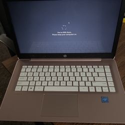 Hp Laptop 